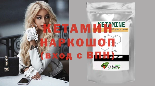 крисы Козельск