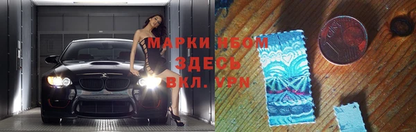 крисы Козельск