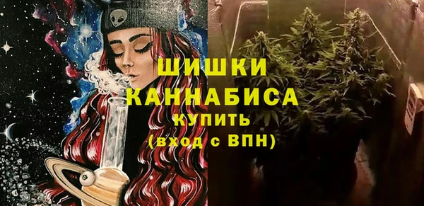крисы Козельск