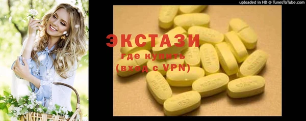 крисы Козельск