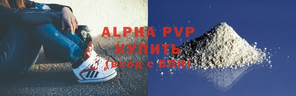 крисы Козельск