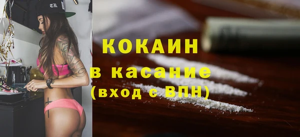 крисы Козельск