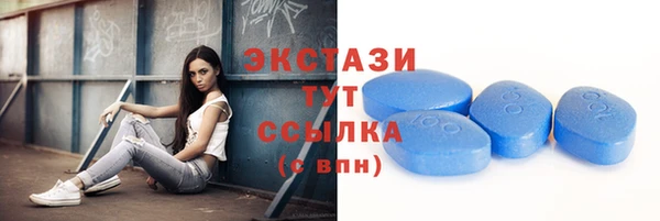 крисы Козельск
