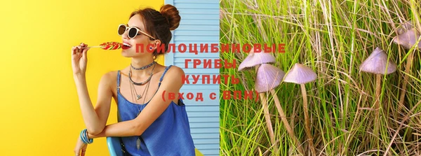 крисы Козельск
