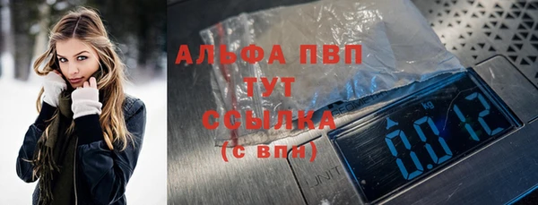 крисы Козельск