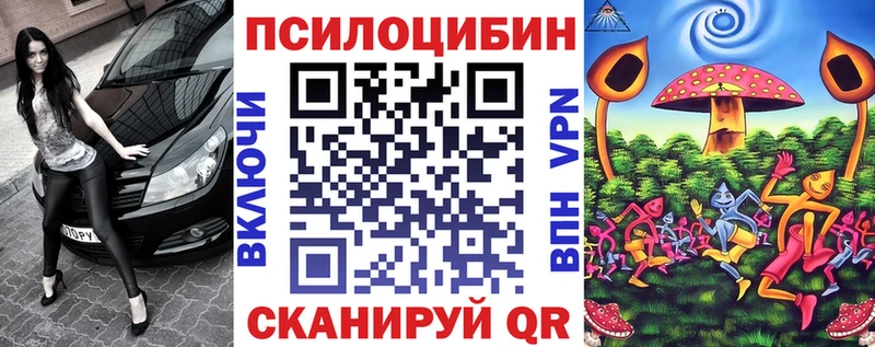 закладки Хвалынск Псилоцибиновые грибы мицелий